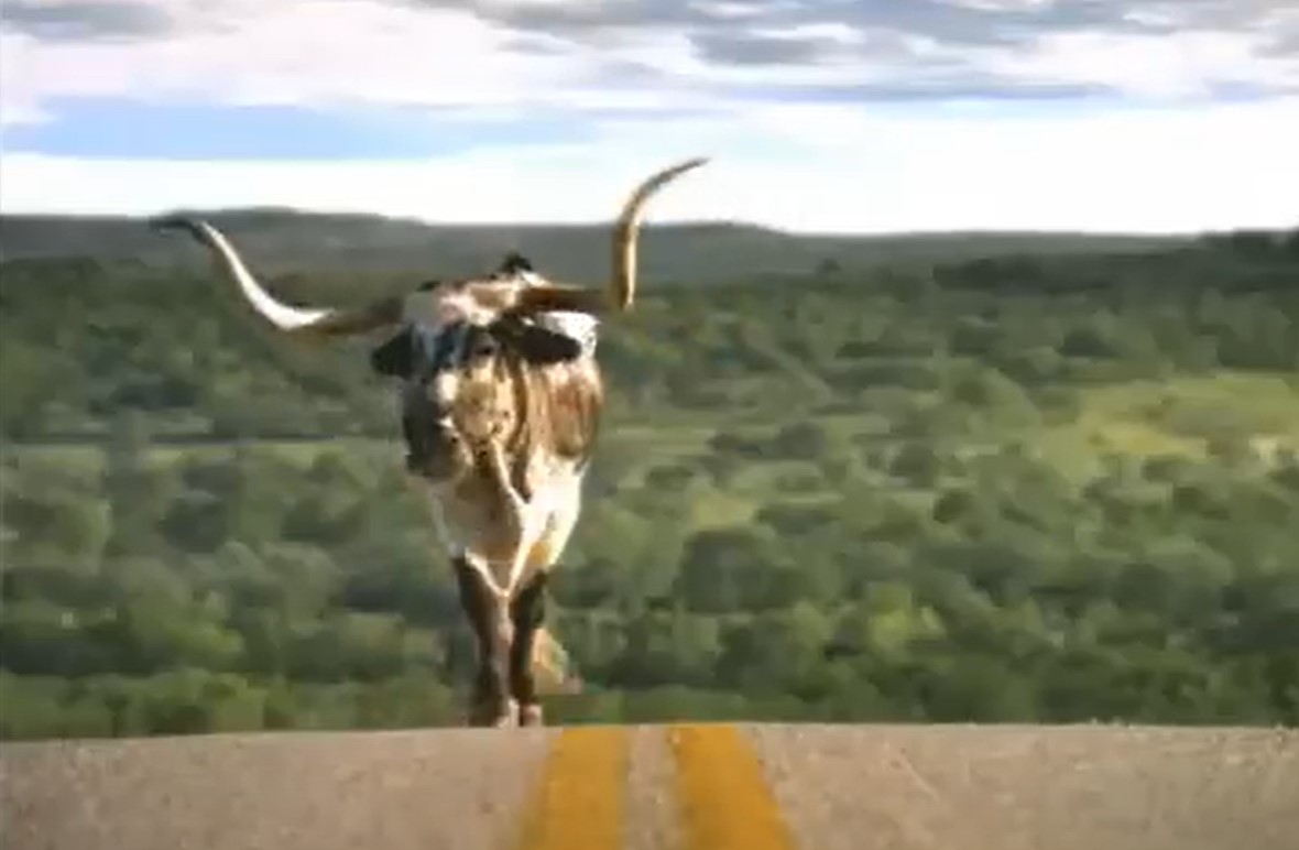 A Don't mess with Texas campaign featuring a Texas longhorn