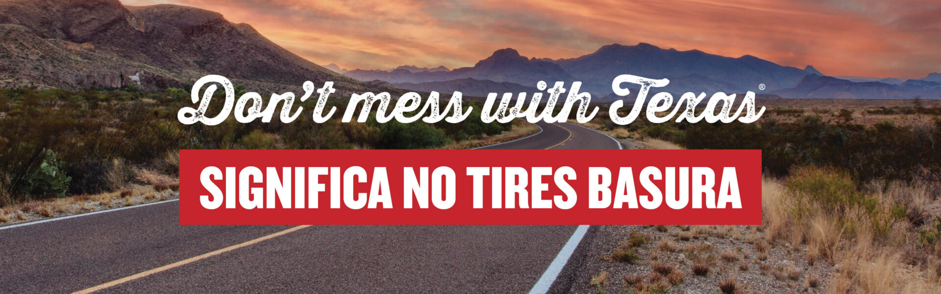  Don't mess with Texas significa no tires basura